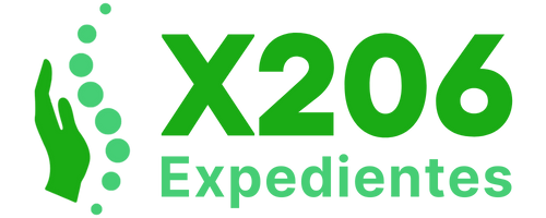 X206 Logo